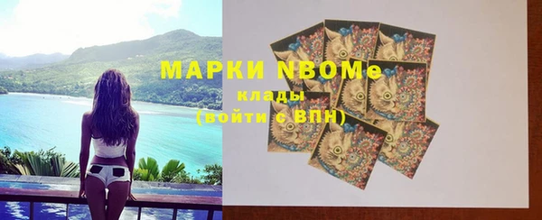 соль ск Новодвинск