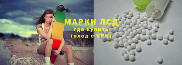 соль ск Новодвинск
