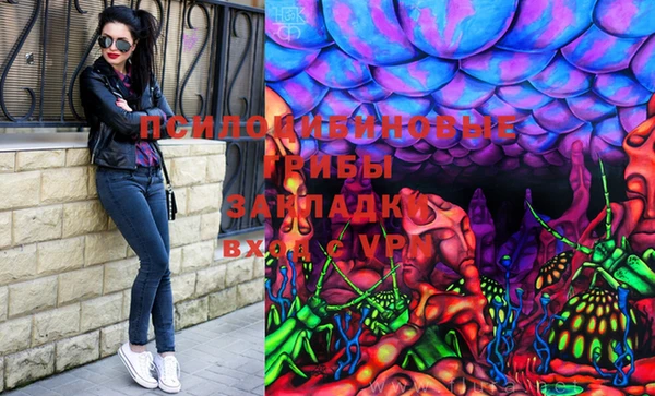 соль ск Новодвинск