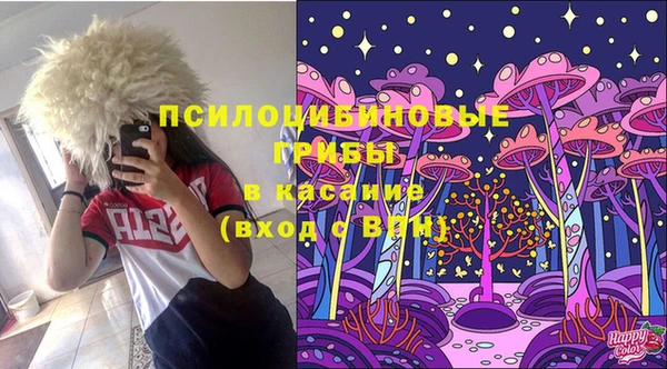 винт Новозыбков