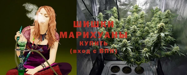 винт Новозыбков