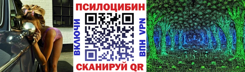 Галлюциногенные грибы Psilocybe mega ссылки Лермонтов