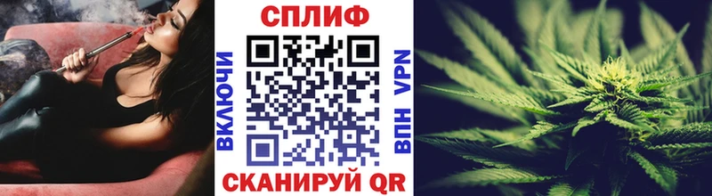 Канабис сатива  купить   Лермонтов 